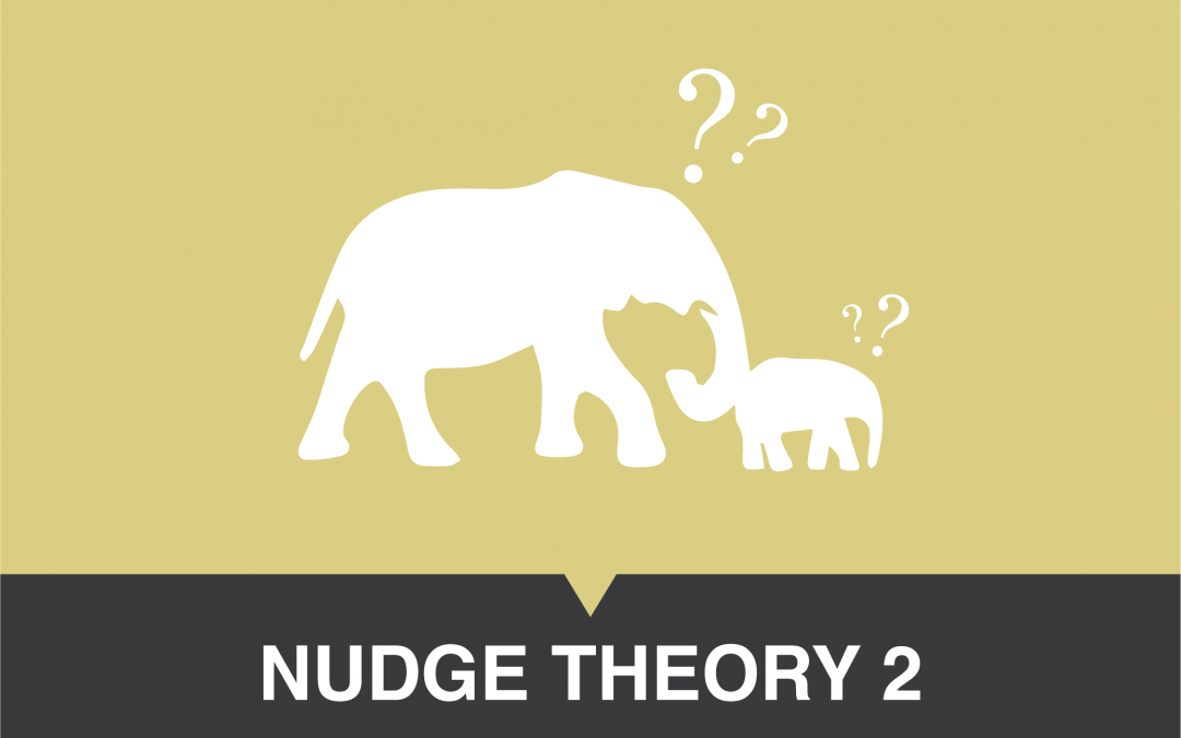 Nudge Theory 2: Your Mind On Autopilot